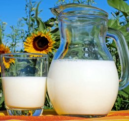 Melk, lag drikkemelk ved å pasteurisere melka. Miniystekjelen pasteuriserer melka for deg.
