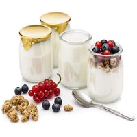 Ysteriprodukter som yoghurt, kremet yoghurt, ysting, meieriprodukt