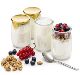 Hva kan du lage med miniystekjelen? Rømme og yoghurt med din egen smaksvariant
