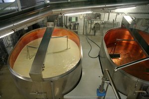Parmesan produksjon, ystekar, gårdsmeieri med osteproduksjon.