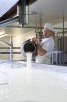 Osteproduksjon krever melk. Mest vanlig er kumelk, geitemelk og  samt melk fra andre dyr som sau og bøffel m.m.